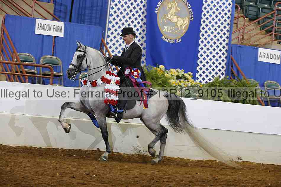 Proof 13r12_9105