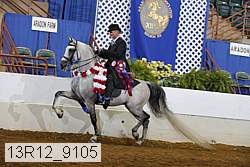 13r12_9105 proof