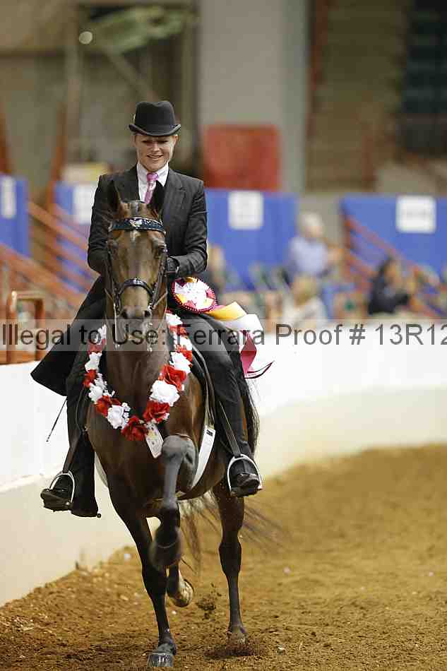 Proof 13r12_9106