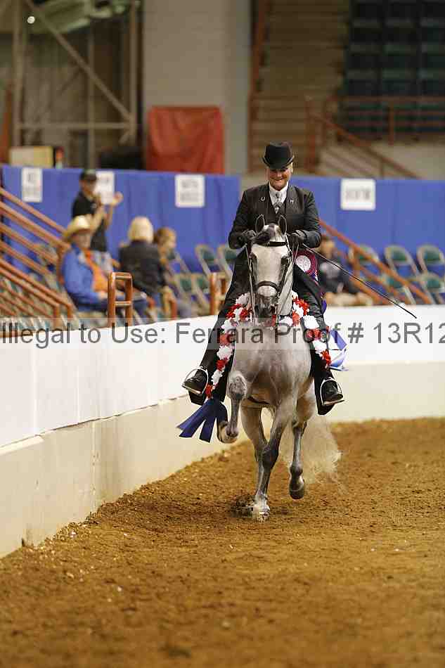 Proof 13r12_9107
