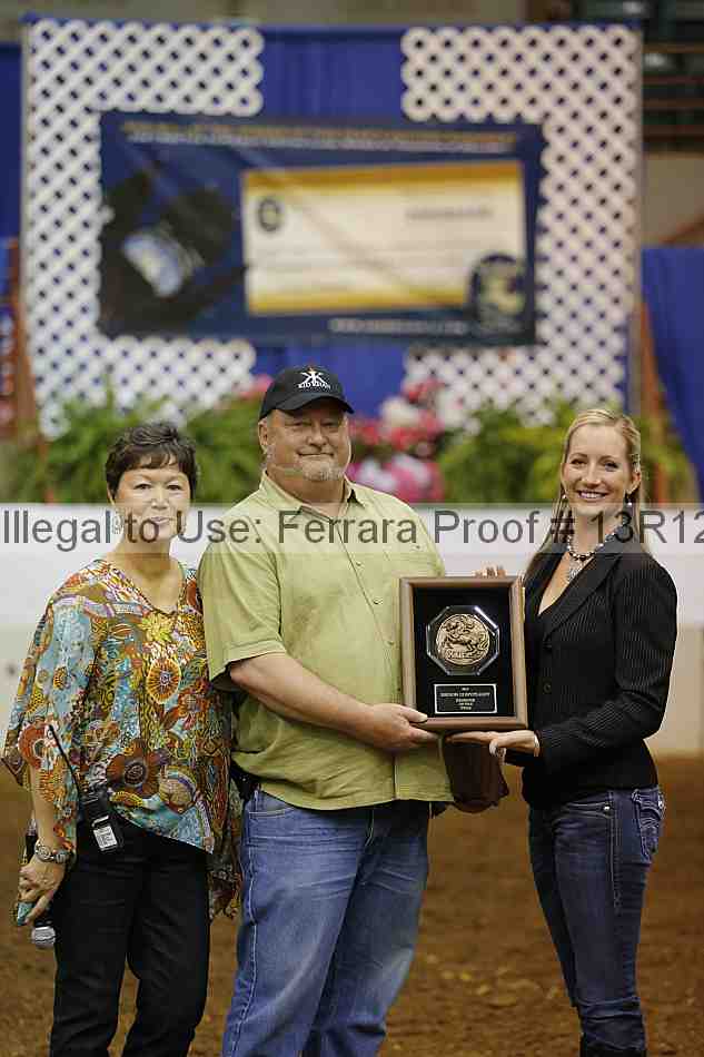 Proof 13r12_8733