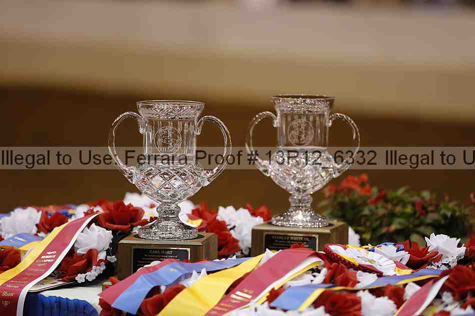Proof 13r12_6332