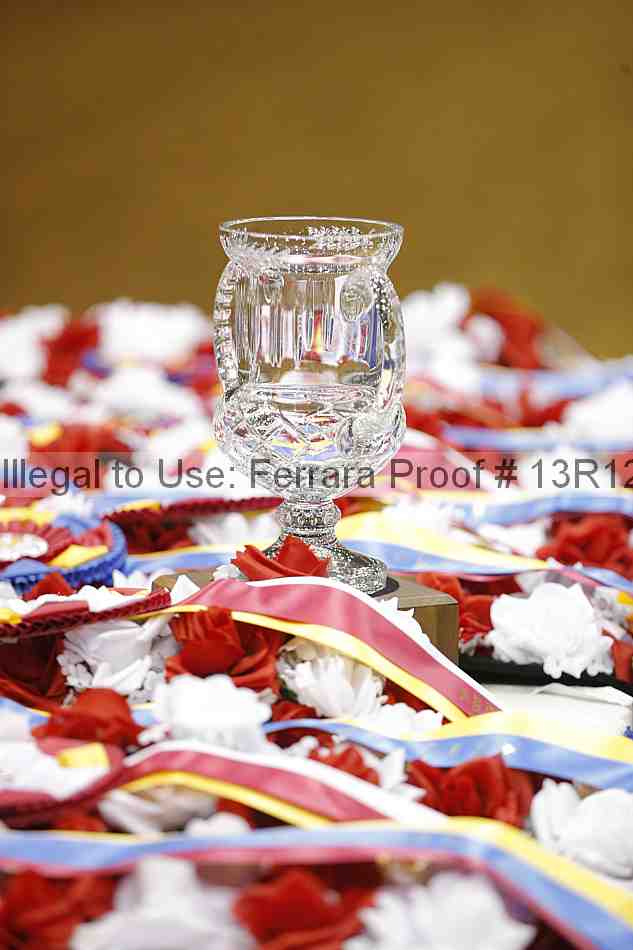 Proof 13r12_6345