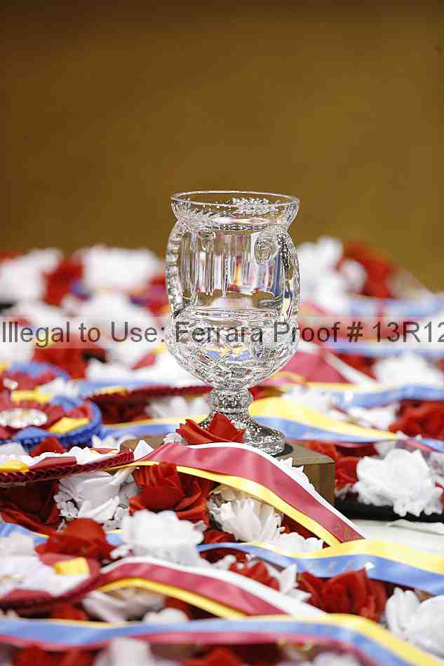 Proof 13r12_6346
