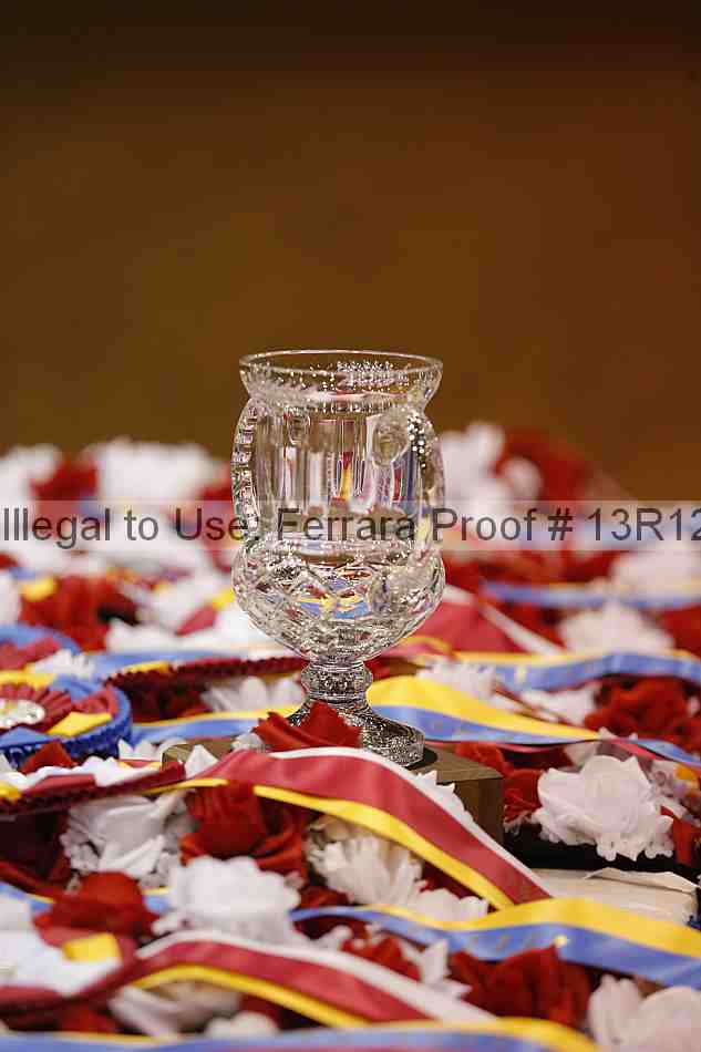 Proof 13r12_6347