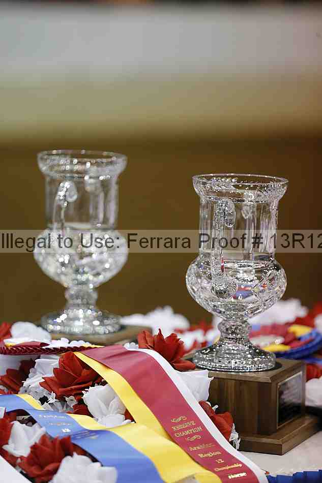 Proof 13r12_6348