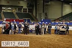13r12_6403 proof
