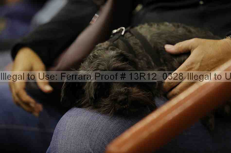 Proof 13r12_0328