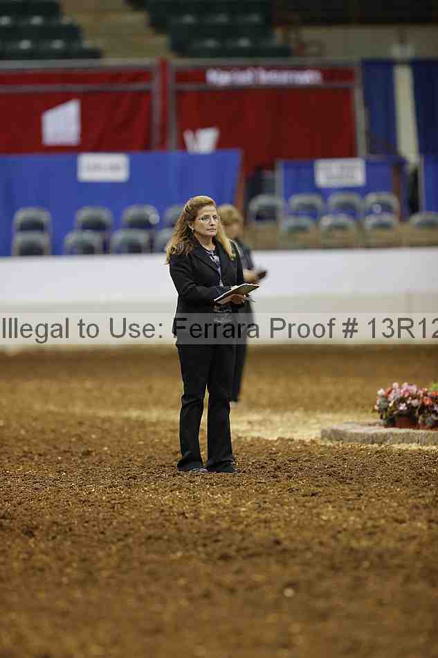 Proof 13r12_0513