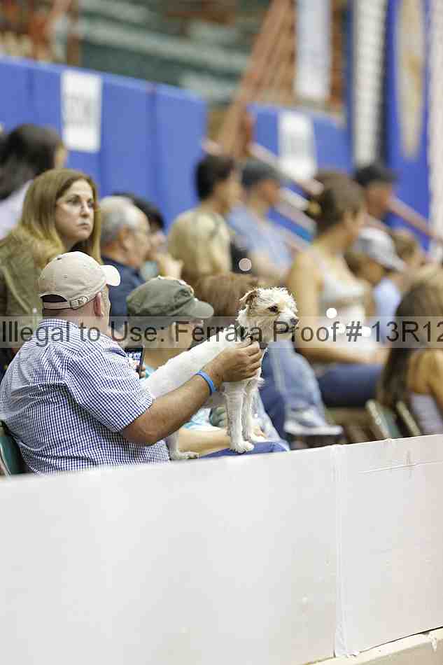 Proof 13r12_4606