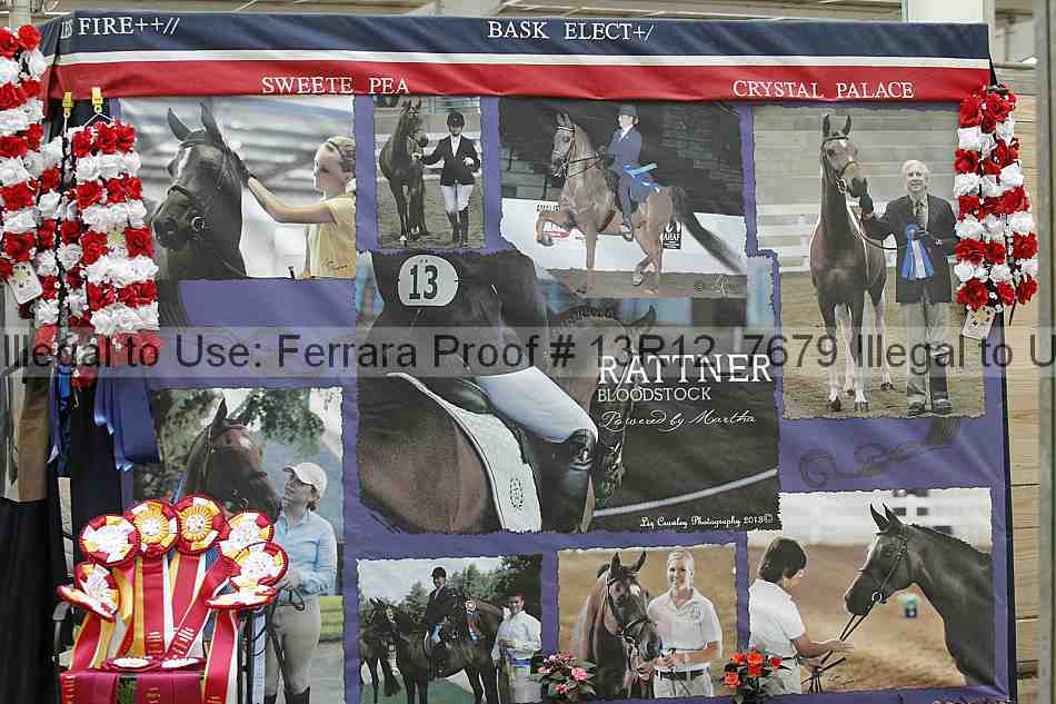 Proof 13r12_7679