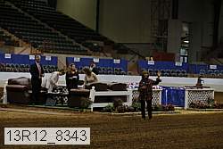 13r12_8343 proof