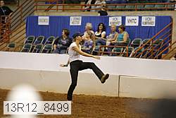 13r12_8499 proof