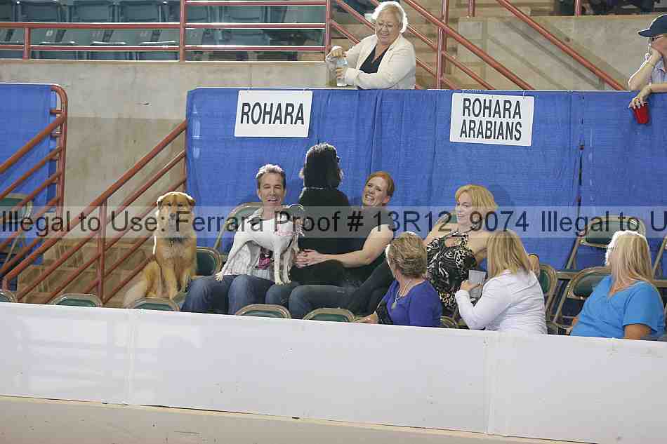 Proof 13r12_9074