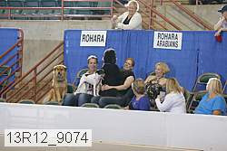 13r12_9074 proof