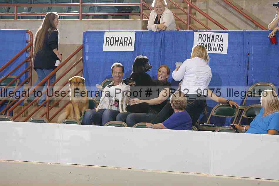Proof 13r12_9075