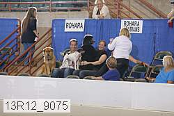 13r12_9075 proof
