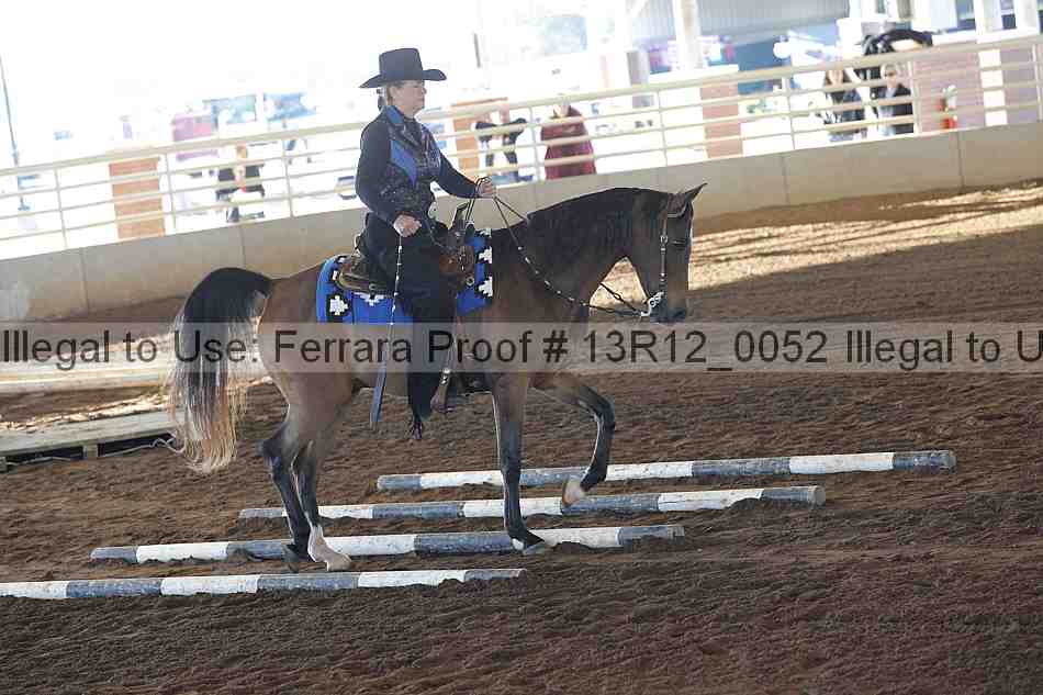 Proof 13r12_0052