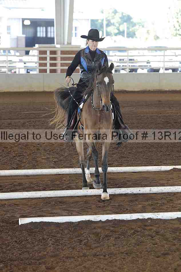 Proof 13r12_0053