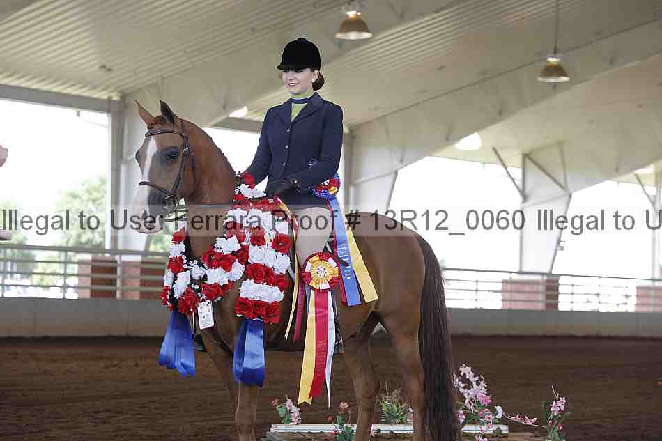 Proof 13r12_0060