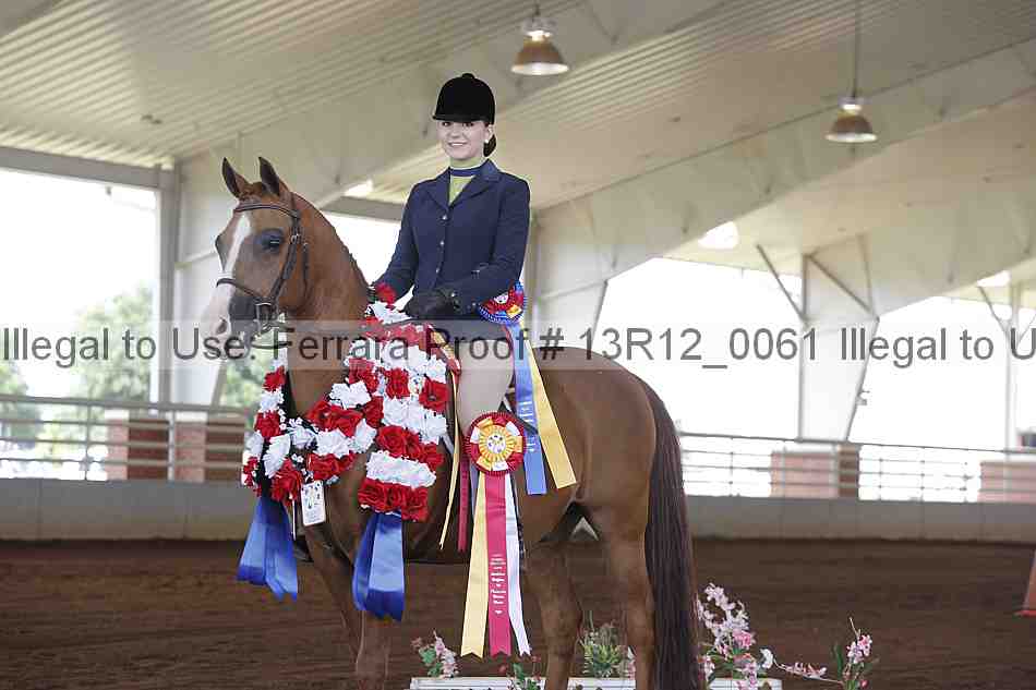 Proof 13r12_0061