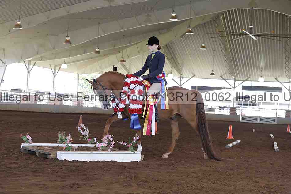 Proof 13r12_0062