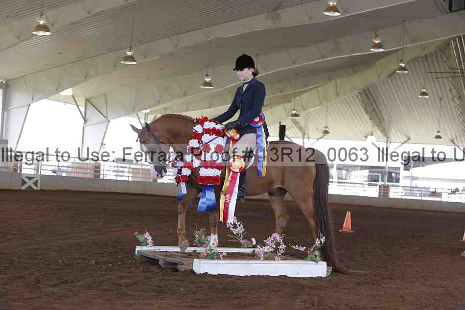 Proof 13r12_0063