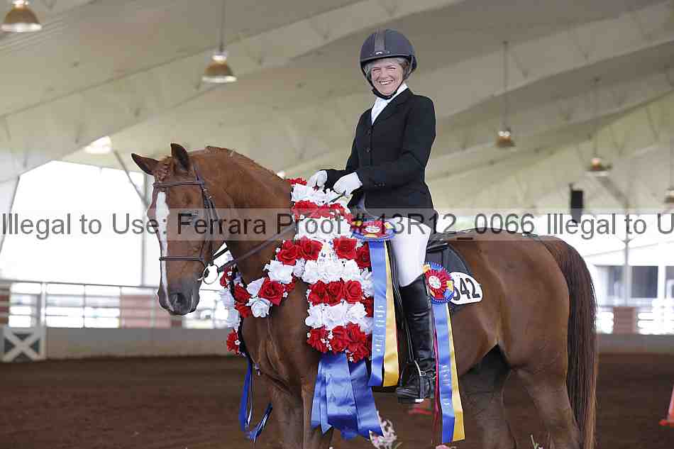 Proof 13r12_0066