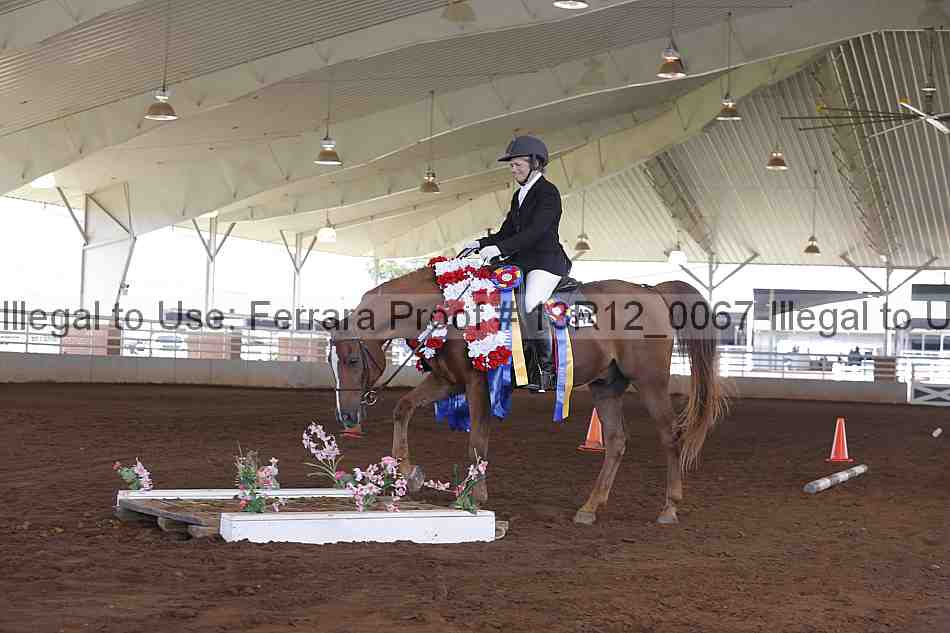 Proof 13r12_0067