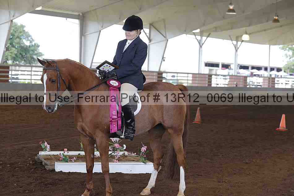 Proof 13r12_0069