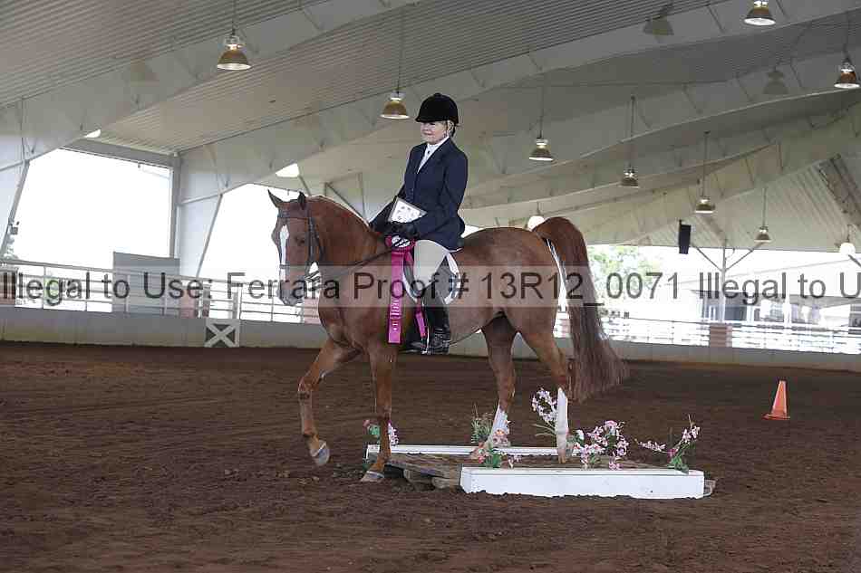 Proof 13r12_0071
