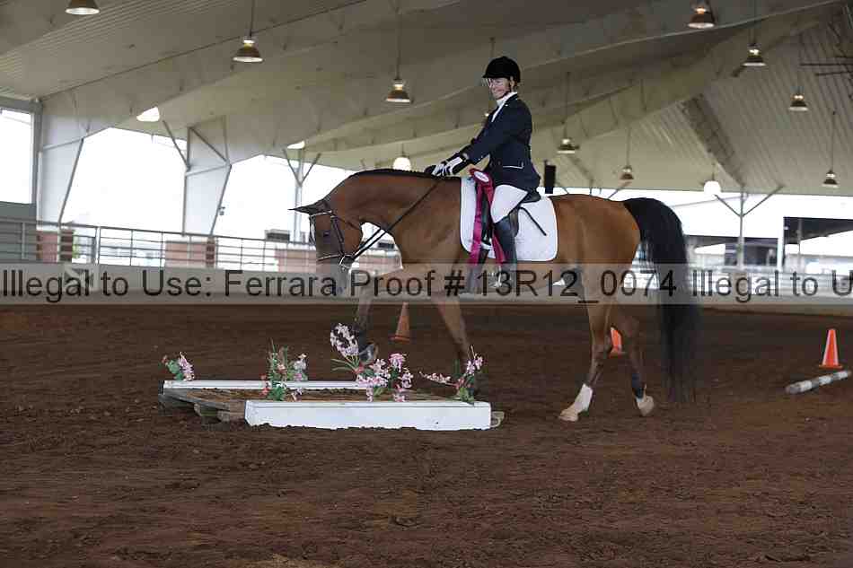 Proof 13r12_0074