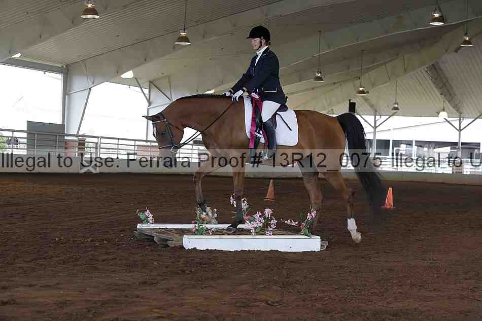 Proof 13r12_0075