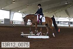 13r12_0075 proof