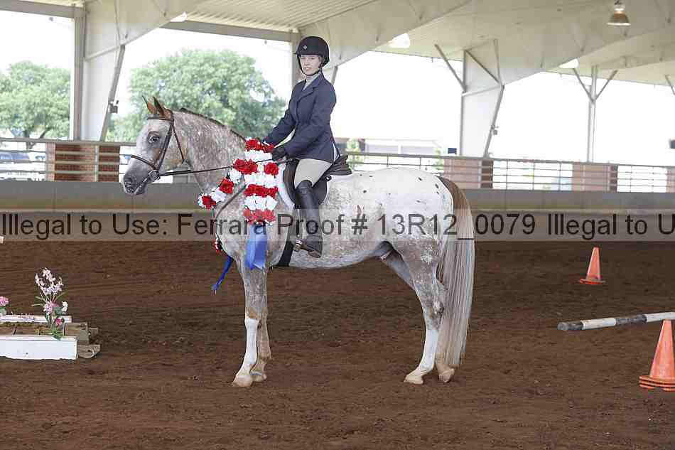Proof 13r12_0079