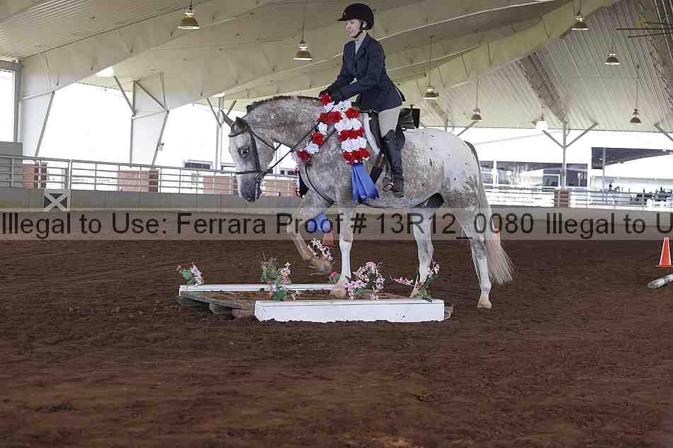 Proof 13r12_0080