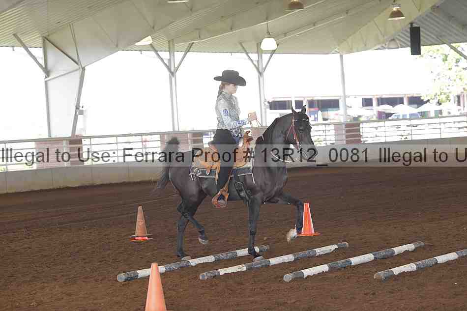 Proof 13r12_0081