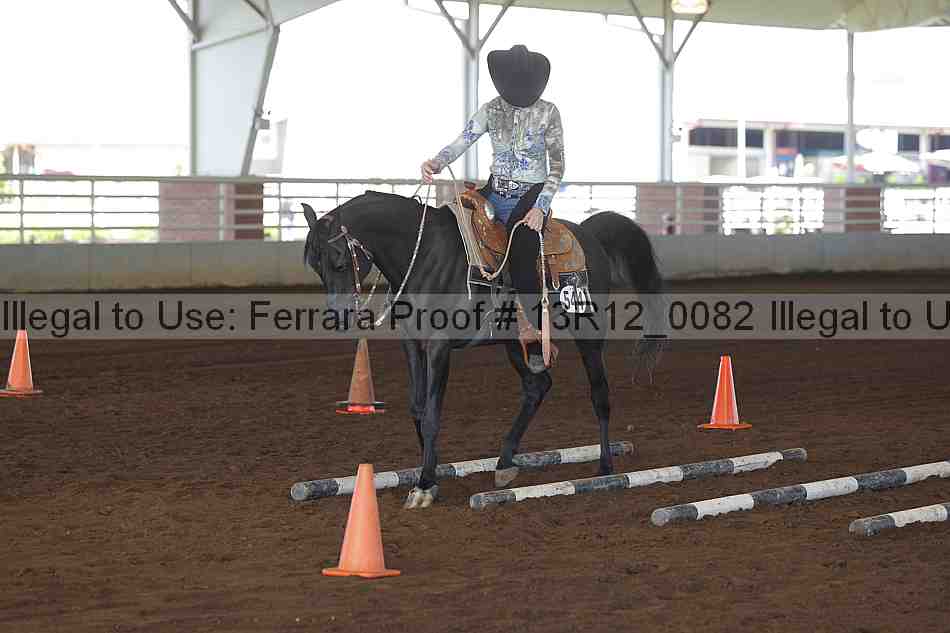 Proof 13r12_0082
