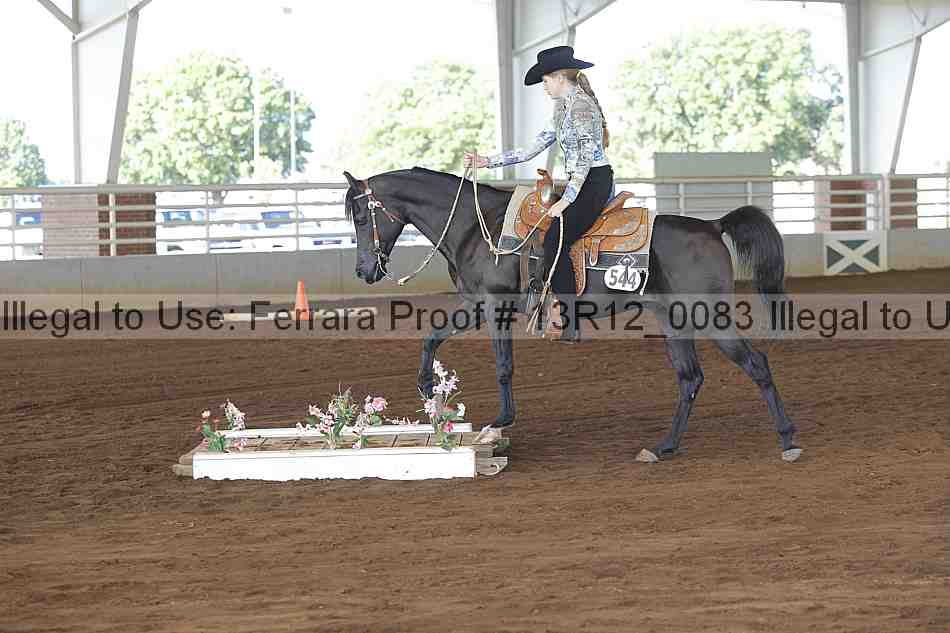 Proof 13r12_0083