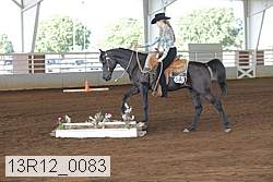 13r12_0083 proof