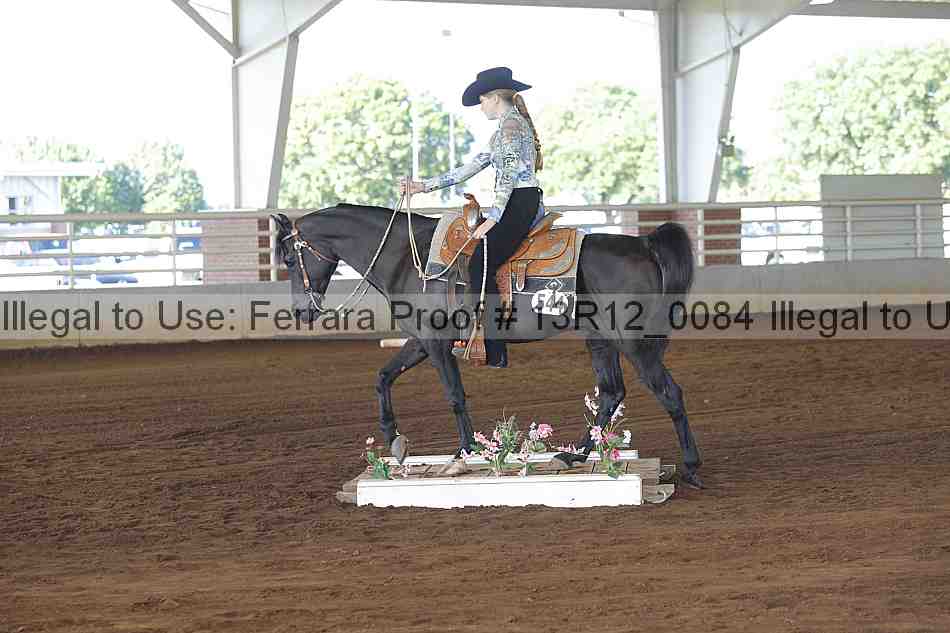 Proof 13r12_0084