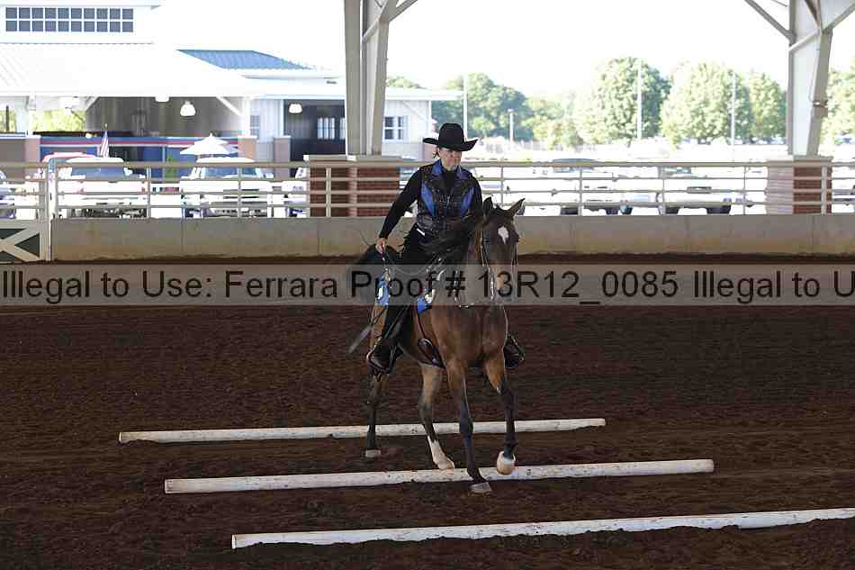 Proof 13r12_0085