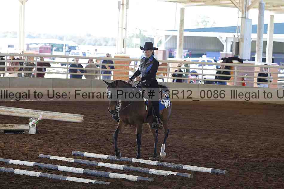 Proof 13r12_0086