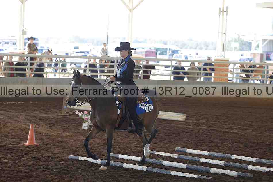 Proof 13r12_0087