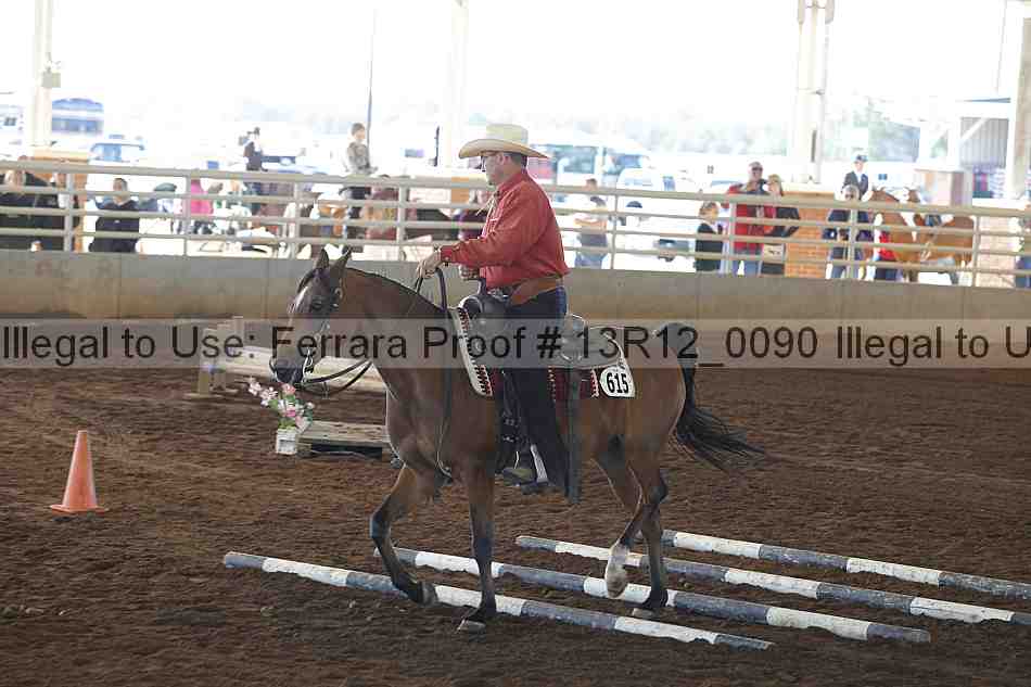Proof 13r12_0090