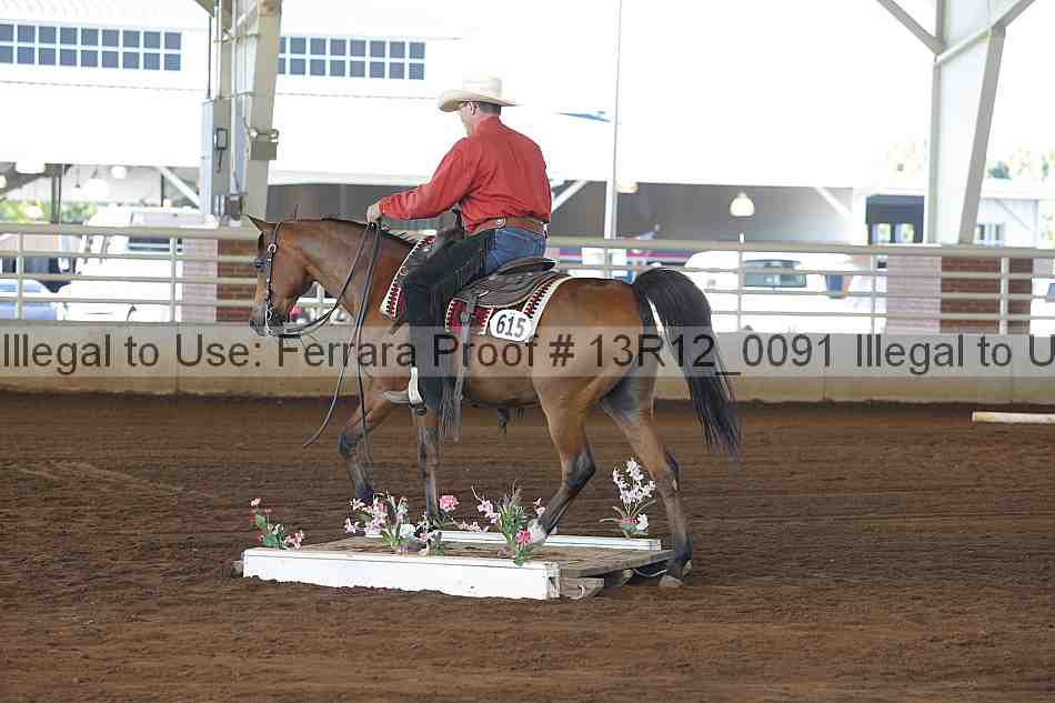 Proof 13r12_0091