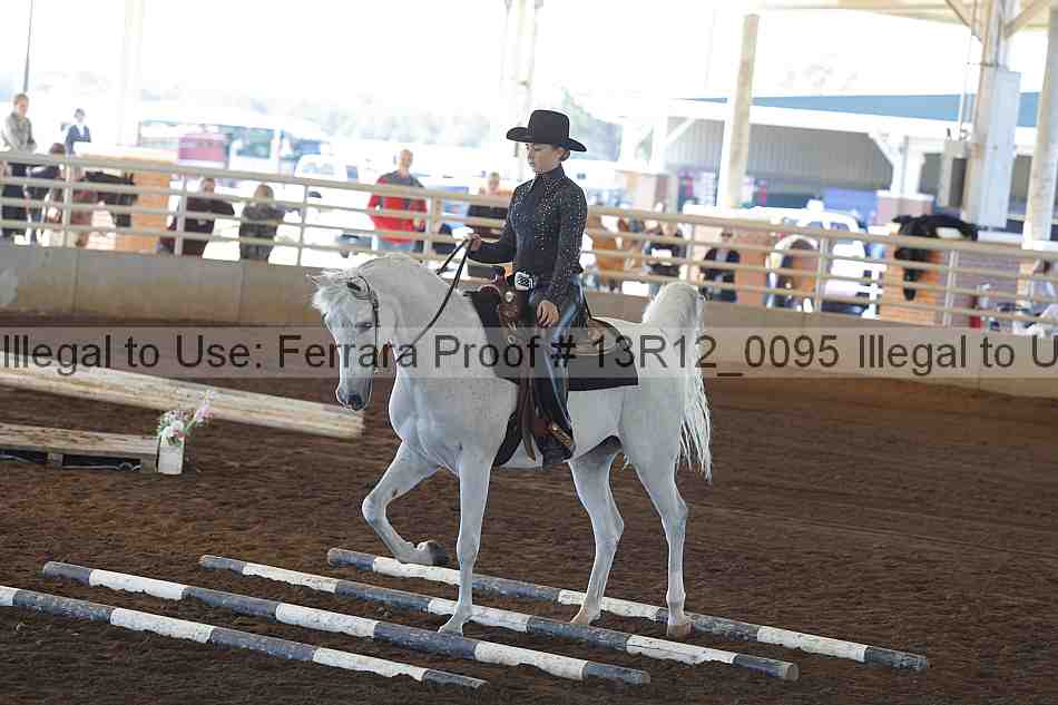 Proof 13r12_0095