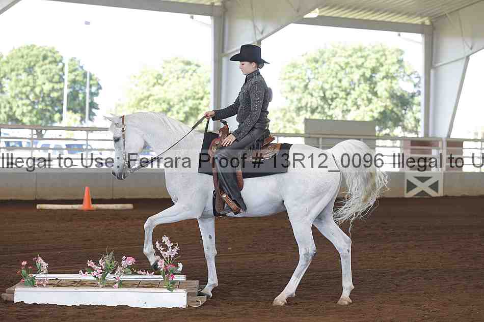 Proof 13r12_0096