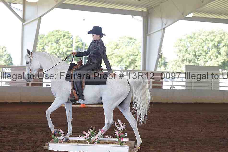 Proof 13r12_0097