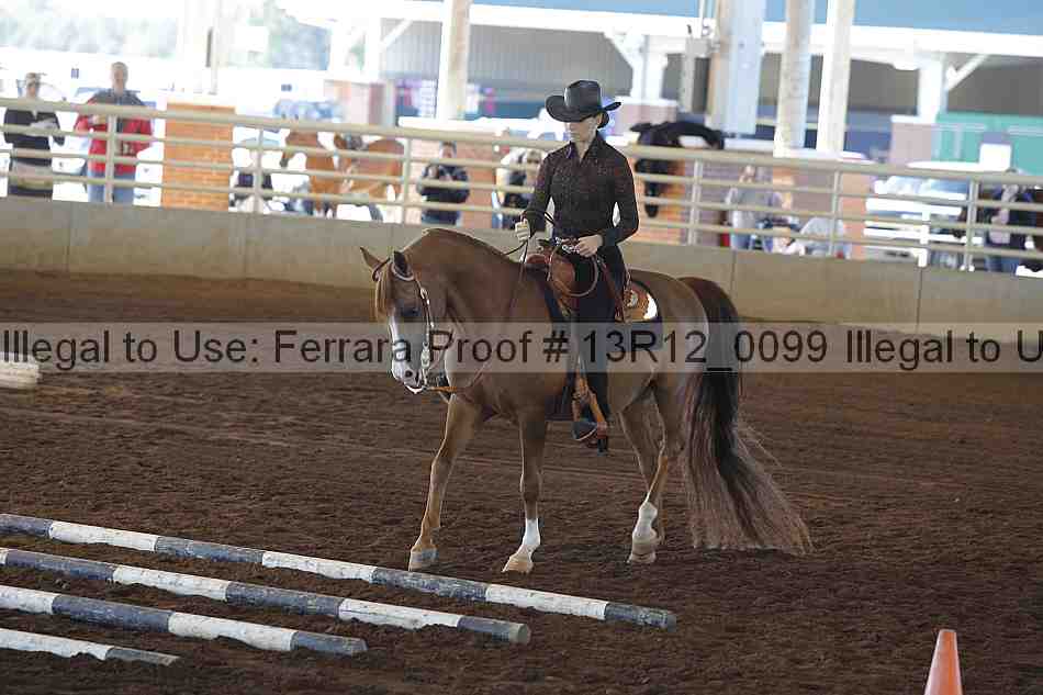 Proof 13r12_0099